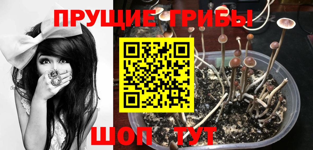 Ртищево  Псилоцибиновые грибы ЛСД  Вход с VPN 